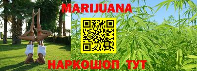 крисы Донской