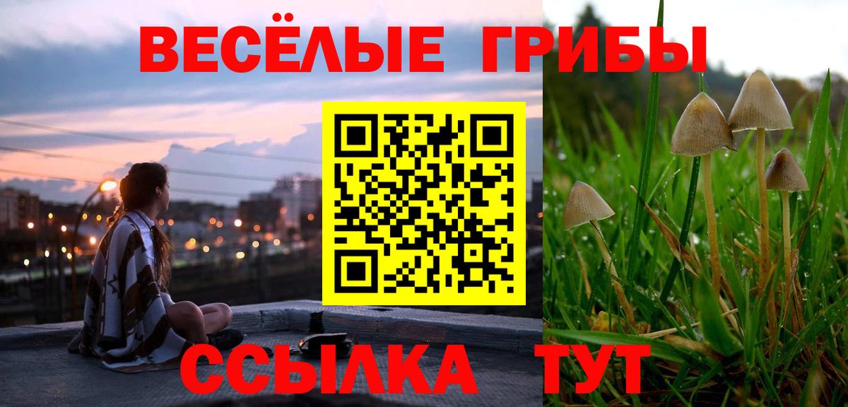 Псилоцибиновые грибы мухоморы Кунгур