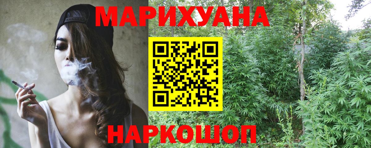 Бошки Шишки сатива Кунгур